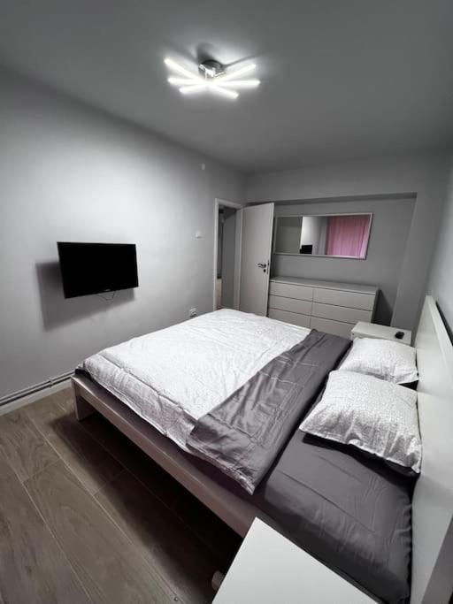 Hugo House Timisoara Apartment Exterior photo